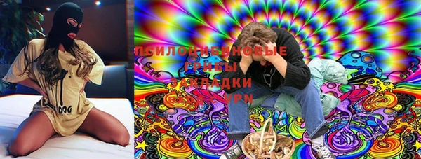 дурь Киров