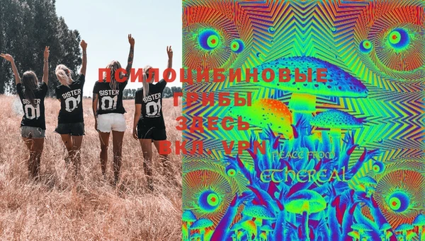 сатива Кукмор