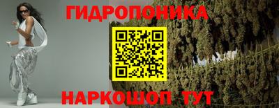 шишки Коммунар