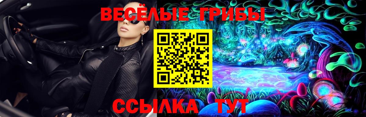 Псилоцибиновые грибы мицелий Набережные Челны